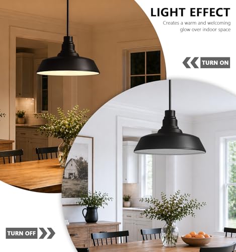21" Black Pendant Light