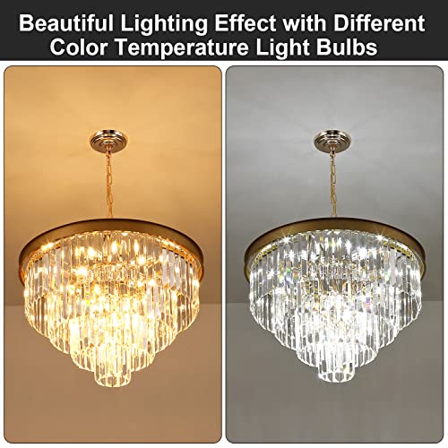 Modern Gold Crystal Chandelier 24”Living Room Chandeliers Light Fixture