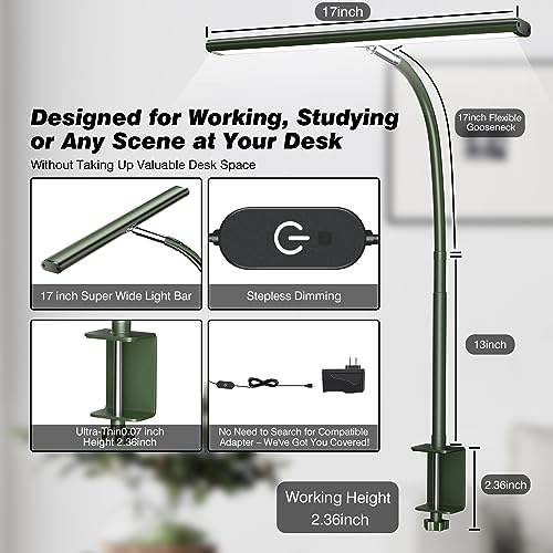 LED Desk Lamp with Clamp