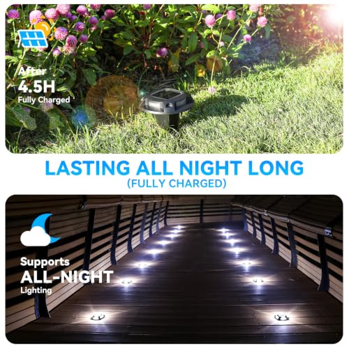 2 Colors in 1 Solar Driveway Lights 1 Pack with Ground Spike Design