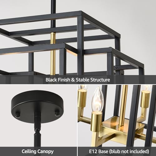 Black & Gold Foyer Lighting Fixture 8