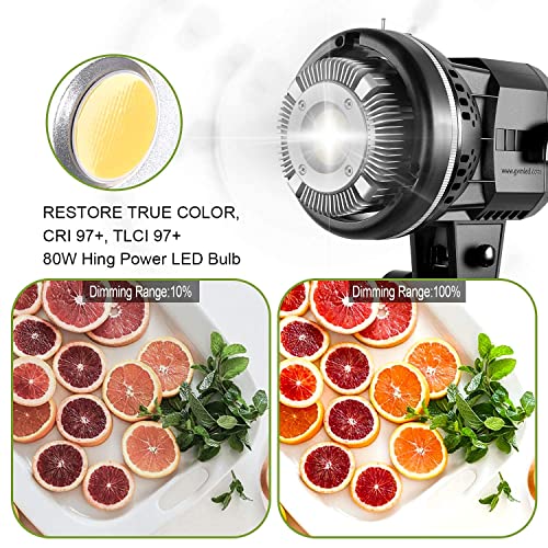 GVM 80W Photo Studio Lighting Kit