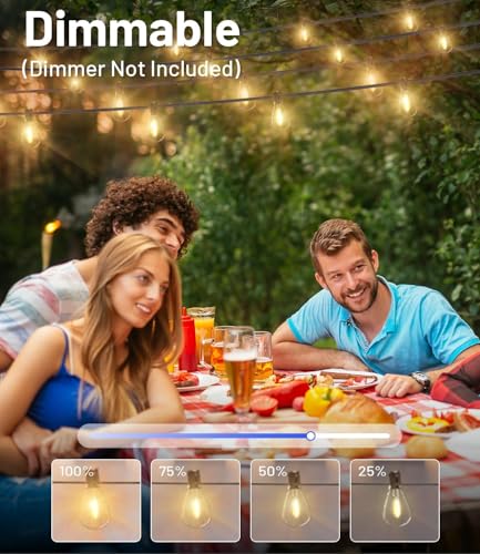 300FT Outdoor String Lights