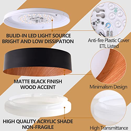 Kitchen Flush Mount Ceiling Light