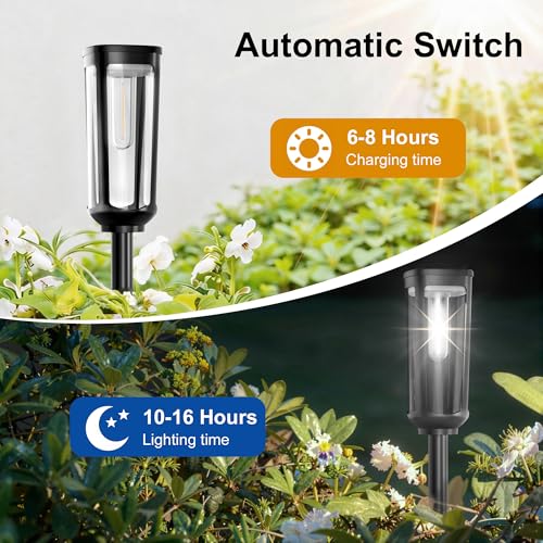 Solar Pathway Lights Outdoor Waterproof (2 Count)