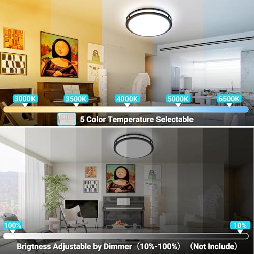 16 Inch Flush Mount Ceiling Lights
