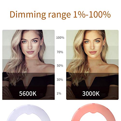 18 inch 65W LED Ring Light Mirror Make Up Beauty Light Studio Video Light Photography Lighting with Stand Bag for Portrait Selfie