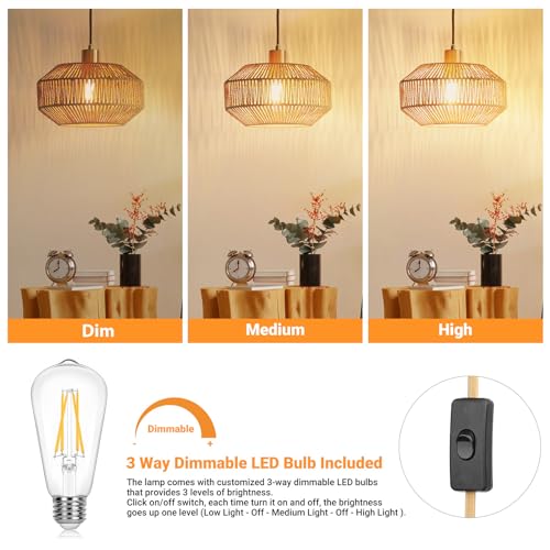 Boho Plug in Pendant Light