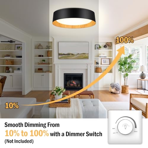 Flush Mount Ceiling Light