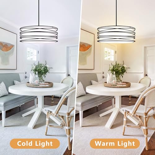 19.7" Black Pendant Light 5