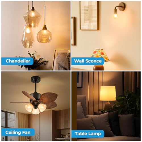 E26 G16.5 Edison Globe LED Bulb (6 Count)