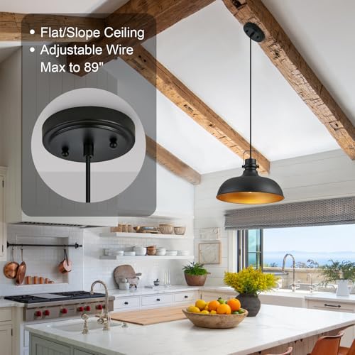 Black Farmhouse Pendant Lights for Kitchen Island 16 Inch