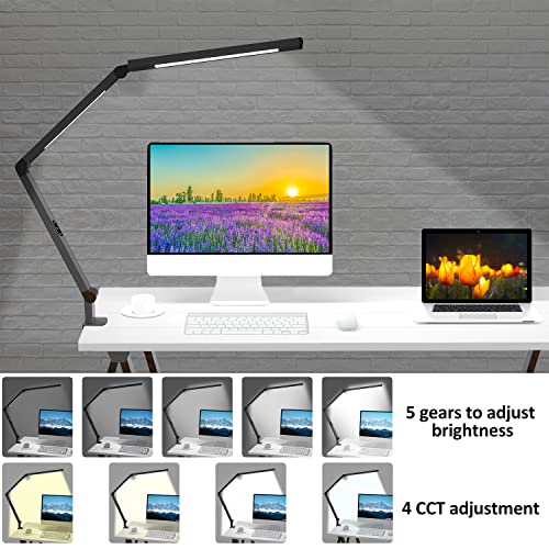 LED Desk Lamp with Clamp