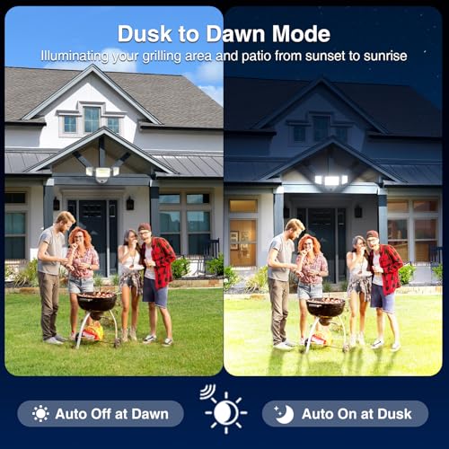 100w Dusk to Dawn Outdoor Lighting