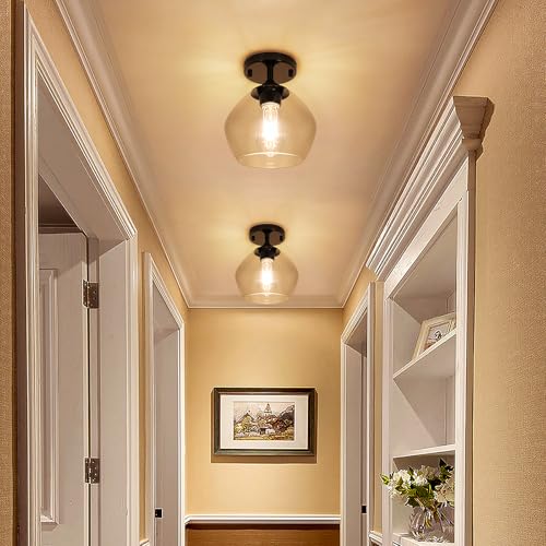 Modern Semi Flush Mount Ceiling Light with Clear Glass Shade