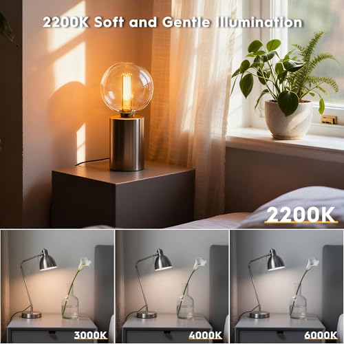 Large Round Light Bulb Vintage Edison LED Dim Soft Warm Clear G125
