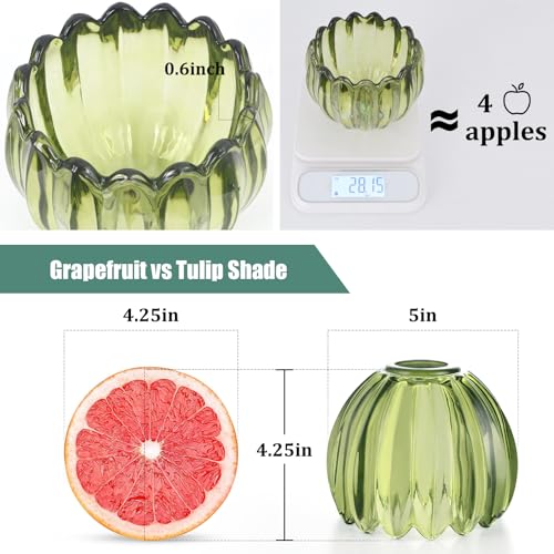 Tulip Lamp Shades Replacement