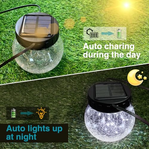 Solar Lanterns Outdoor Waterproof 6 Pack (6 Count)