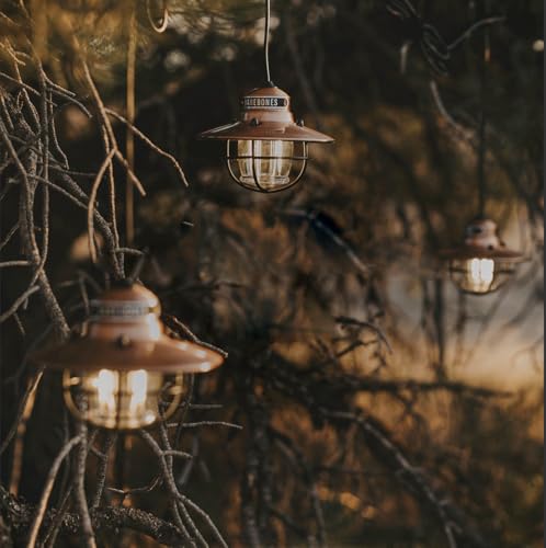 Edison Pendant String Lights