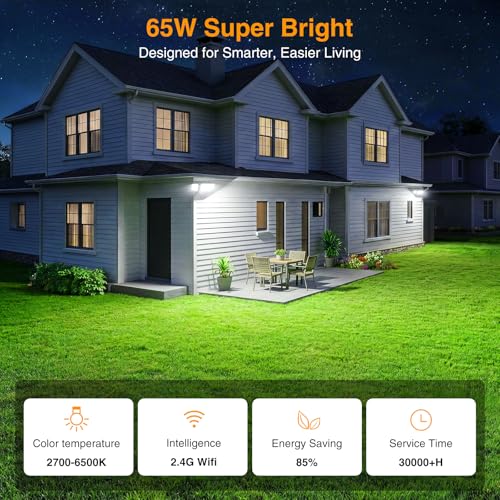 65W Smart Flood Light Outdoor (White)