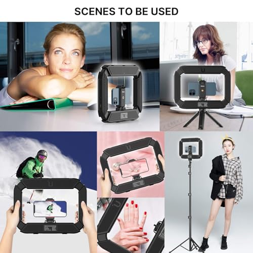 U200 Phone Video Rig with Light & 3 Cold Shoes for Video Recording