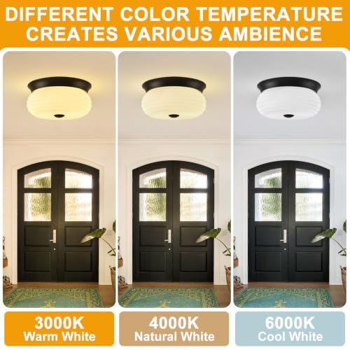 Black Flush Mount Ceiling Light Fixtures (Matte Black-Milk Glass(No Assembly Required))