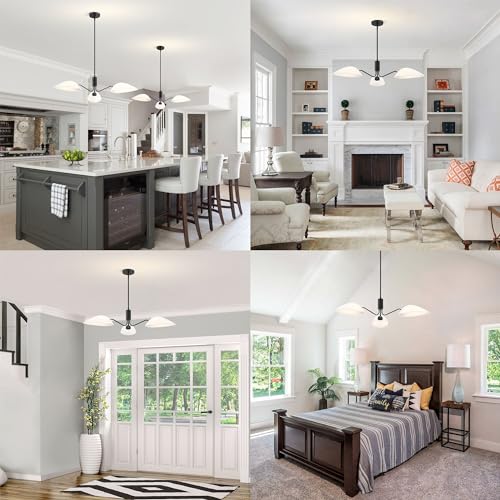 Modern Glass Chandeliers