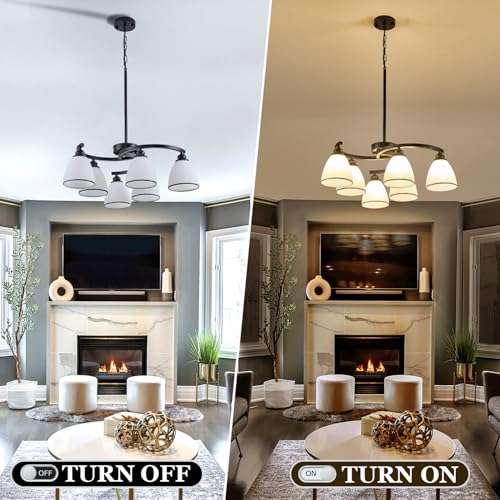 6 Light Modern Chandelier Light Fixture for Dinner Room (6 Count)