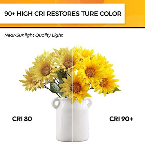 Candelabra Light Bulbs 60W Eq (6 Count)