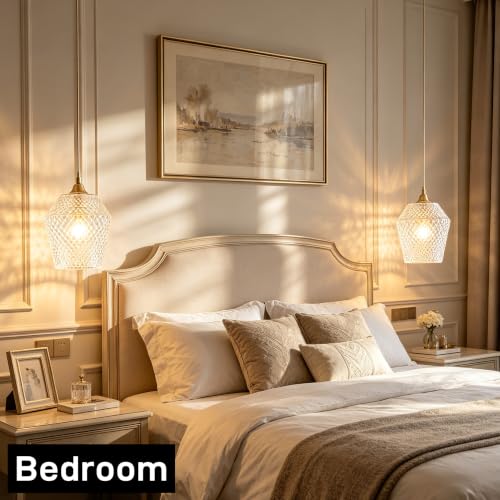 2Pcs Small Glass Lamp Shades (2 Count)