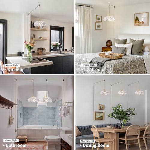 Plug in Pendant Light Hanging Light Fixtures with Plugin Cord On