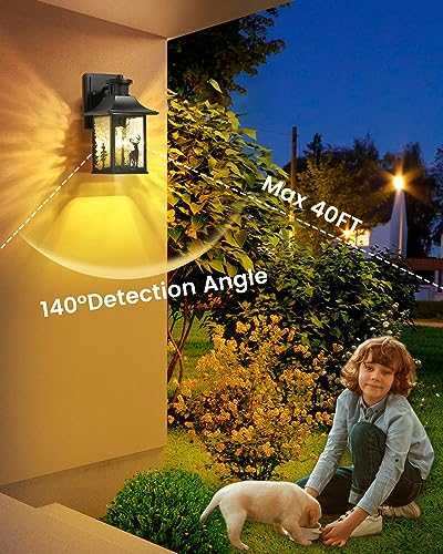 Motion Sensor Outdoor Wall Light Dusk to Dawn Porch Light Wall Mount