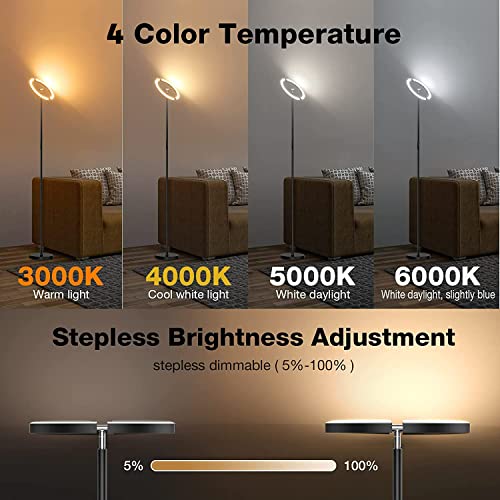 LED Floor Lamp