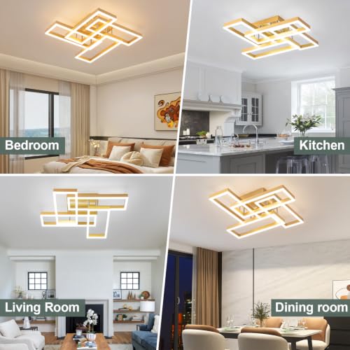 Modern Led Ceiling Light for Living Room