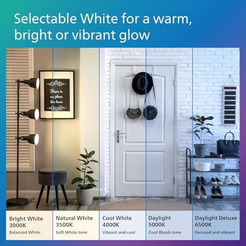 A19 Light Bulbs (12 Count)