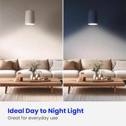 A19 100W Equivalent LED Light Bulbs (6 Count)