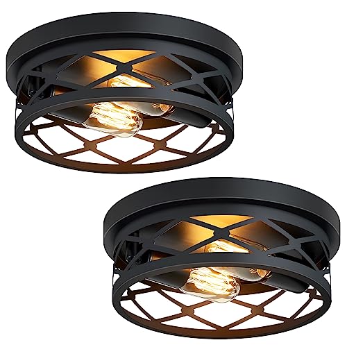Flush Mount Ceiling Light Fixture for Hallway (2 Count)