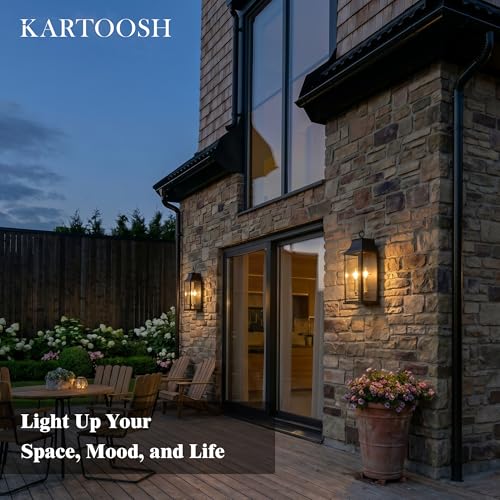 Dusk to Dawn Outdoor Wall Light