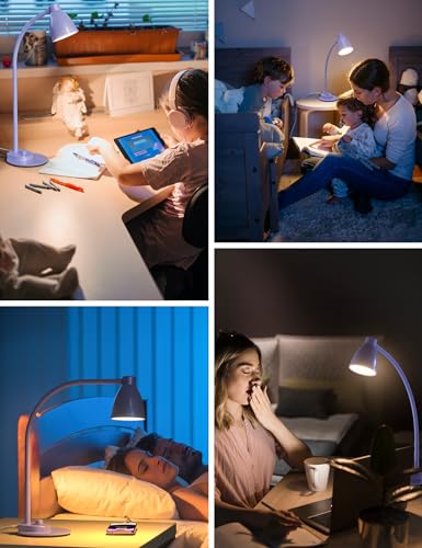 LED Desk Lamp with USB Charging Port