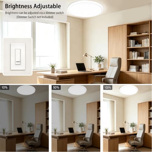 15 Inch LED Flush Mount Ceiling Light (White)