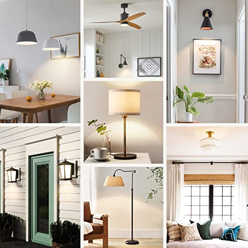 A19 LED Light Bulbs (4 Count)
