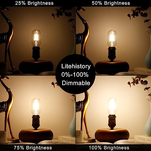 T45 E26 Led Bulb (6 Count)