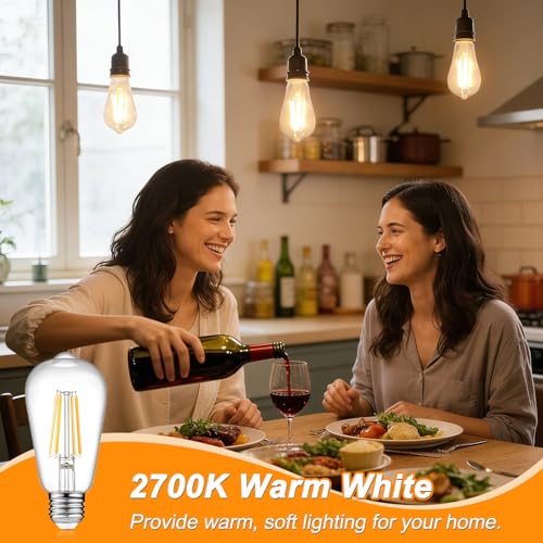 Vintage LED Edison Bulbs 6W (6 Count)