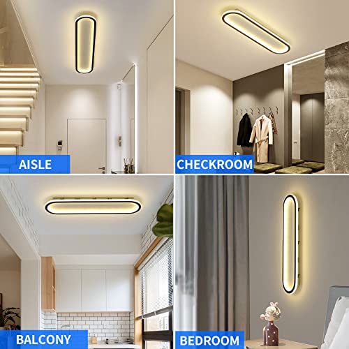 Modern LED Ceiling Light