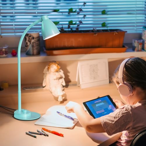 LED Desk Lamp with USB Charging Port