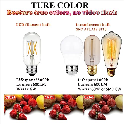T45 E26 Light Bulb (6 Count)