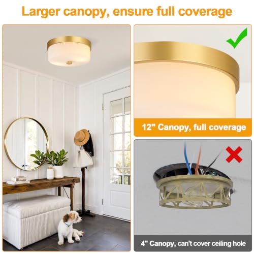 Flush Mount Ceiling Light Fixtures