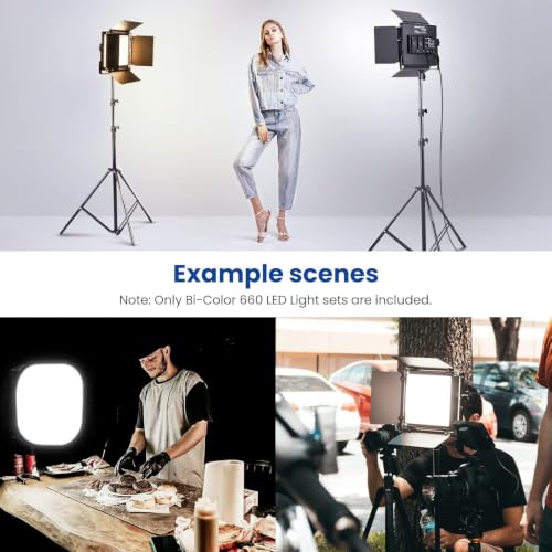 2 Pack Bi Color 660 LED Video Light and Stand Kit (2 Light and stand kit)