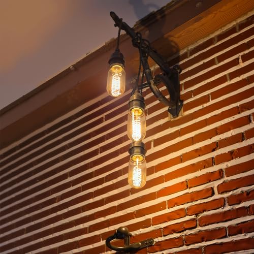 3 Pack Vintage Edison Light Bulbs 40W (3 Count)