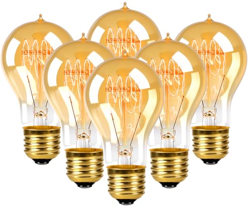Edison Light Bulbs 60W (6 Count)